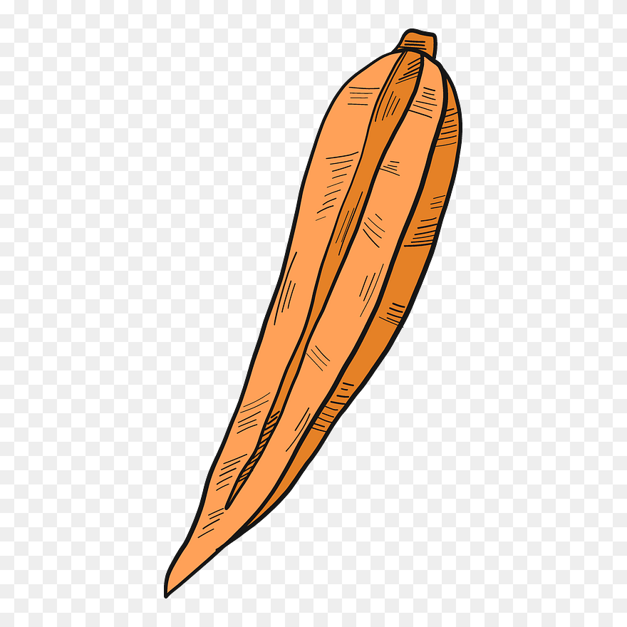 Carrot Cut In Half Clipart - Illustration - Png Download