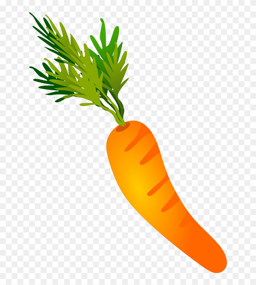 Carrot Drawing - Vegetable Clipart