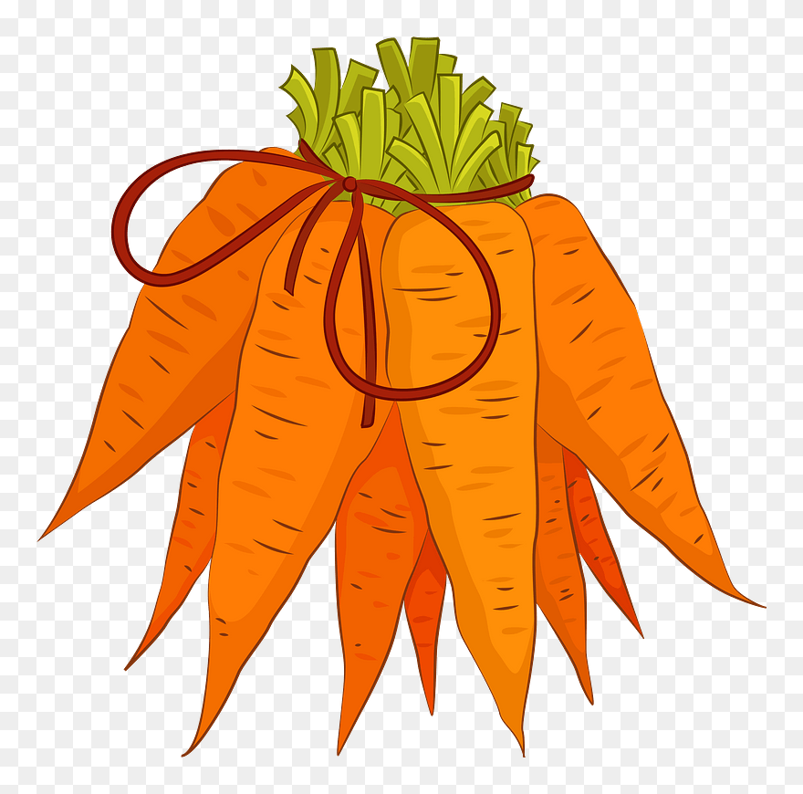Carrot Clipart - Carrot - Png Download