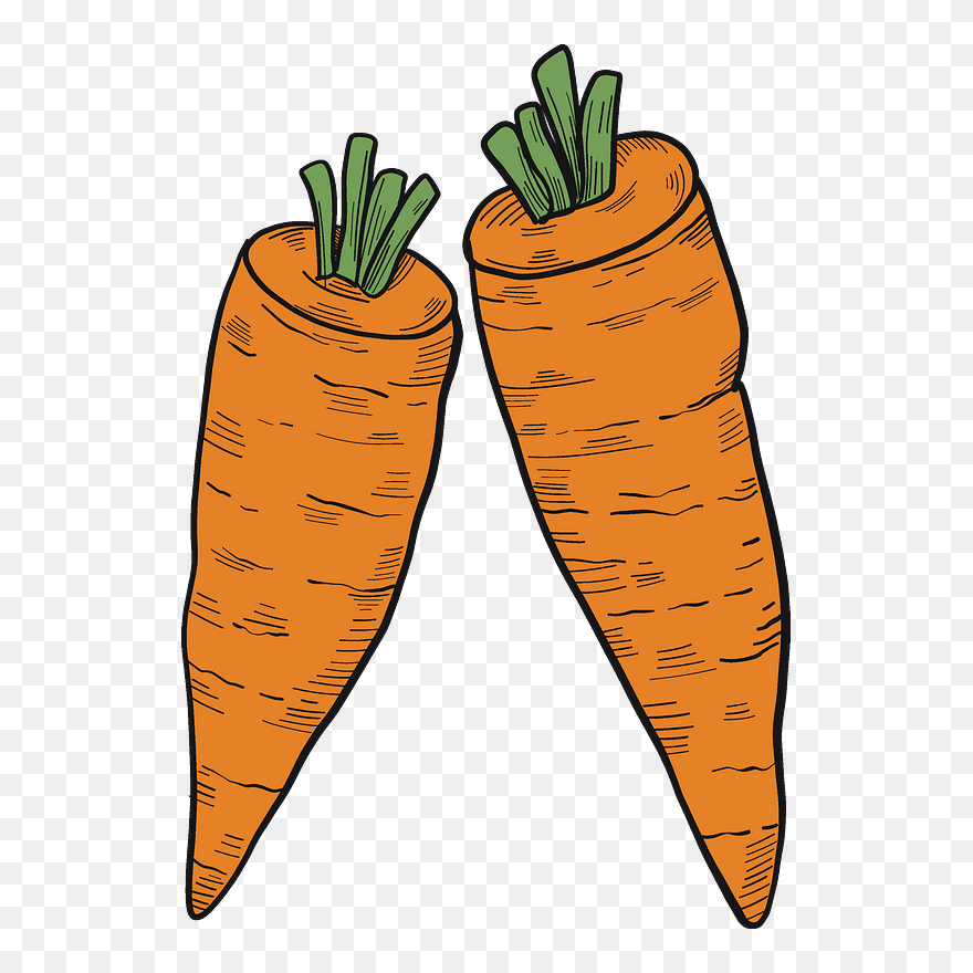 Two Carrots Clipart - Carrot - Png Download