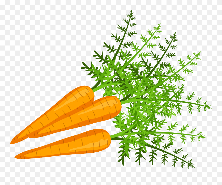 Carrot Clip Art - Png Download