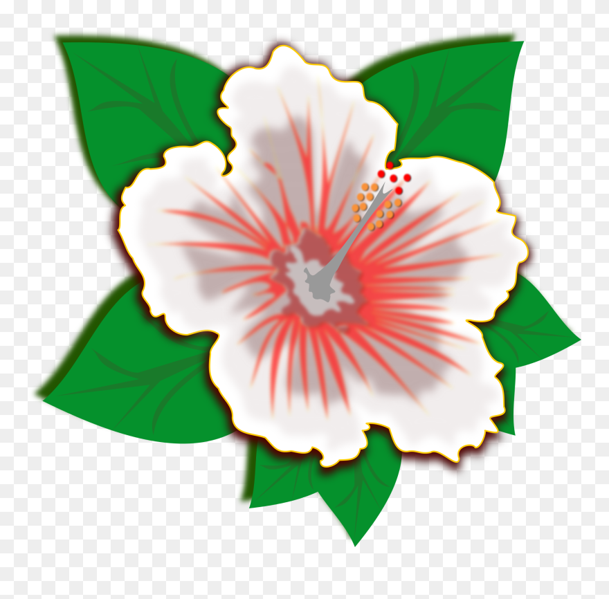 Cartoon Hawaiian Flowers Clipart