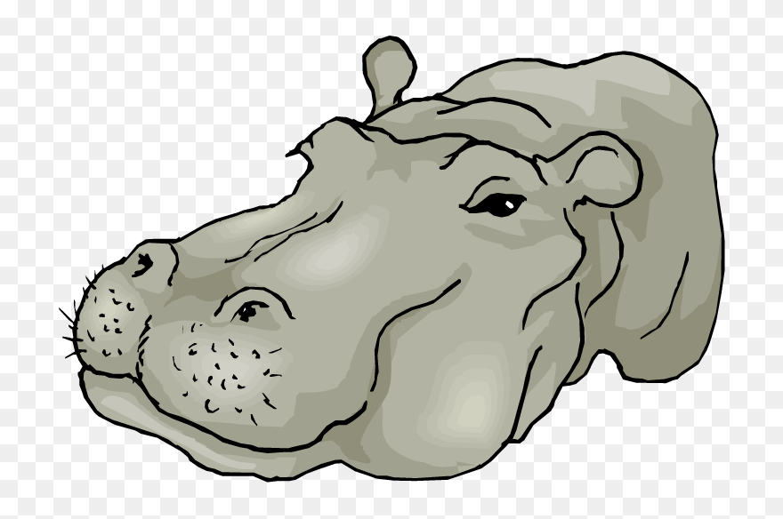 Free Hippo Clipart - Hippo Face - Png Download