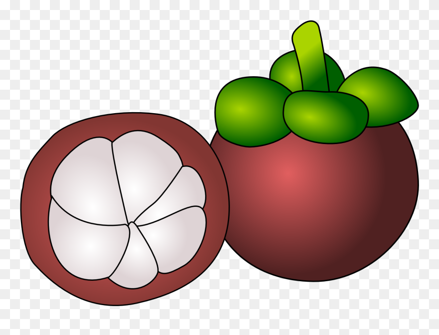 Net » Clip Art » Manggis Fruit Clipartist - Mangosteen Clipart - Png