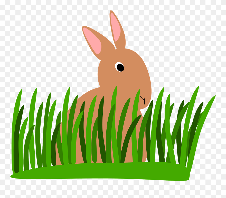 Clip Art - Png Download