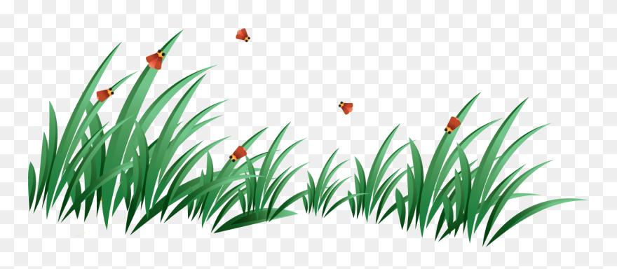 Grass Png Image, Green Grass Png Picture - Çimen Png Clipart