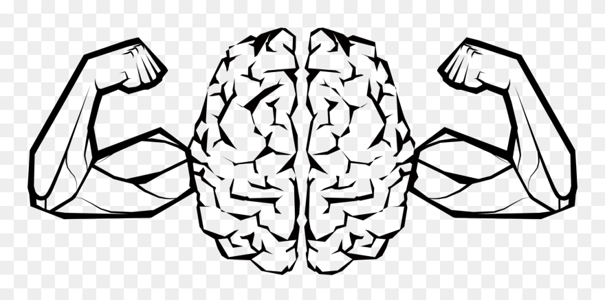 Art,symmetry,monochrome Photography - Brain Muscle Clipart - Png Download