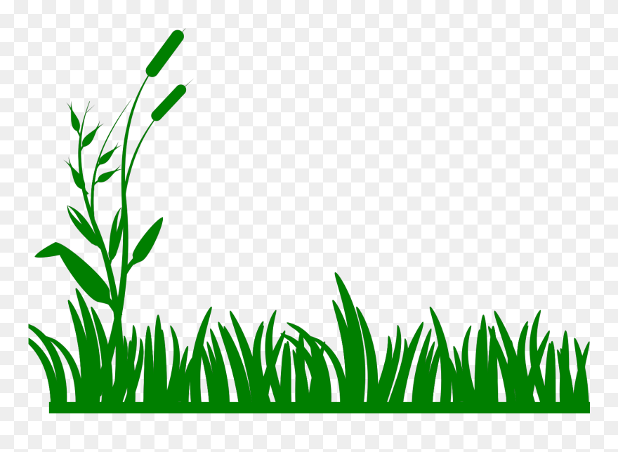Grass Black And White Clipart