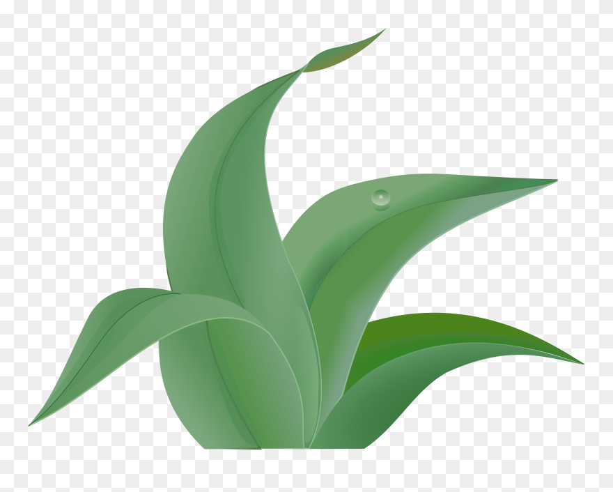 Green Leaves Clipart Grass Leaf - Jungle Leaves Clip Art - Png Download