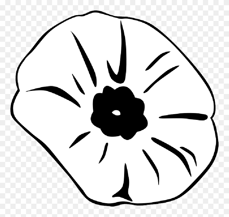 Art,symmetry,monochrome Photography - Silhouette Of A Poppy Clipart
