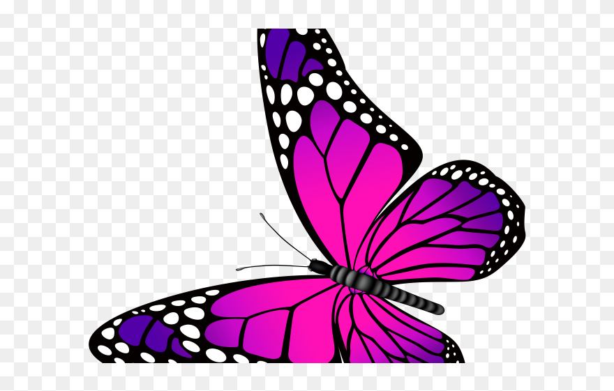 Pink Butterfly Clipart Png Transparent Png