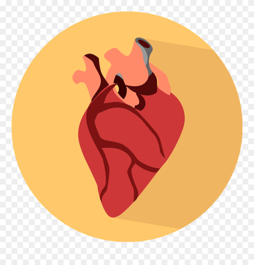Morbidity Clipart Graphic Free Disease Clipart Morbidity, - Anatomical Heart Icon Png Transparent Png