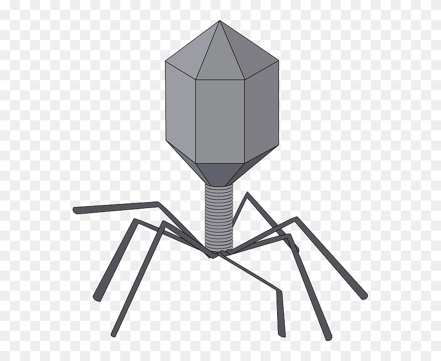 Virus, Bacteriophage, Biology, Disease, Microbe - Virus Clip Art - Png Download