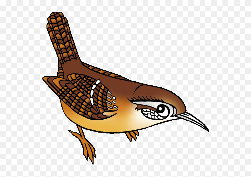 Cactus Wren Clip Art Png Download 5246546 Pinclipart