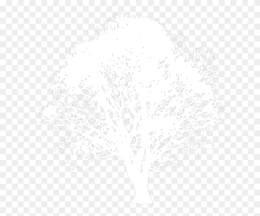 Brown Tree Svg Clip Arts - Black And White Tree - Png Download