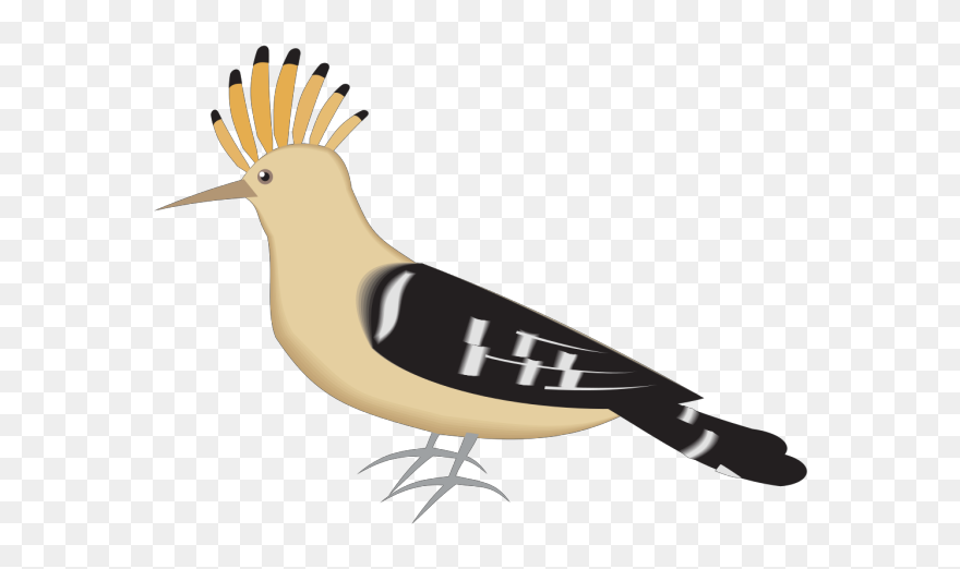 Hoopoe Png Icons - هدهد كليب ارت Clipart