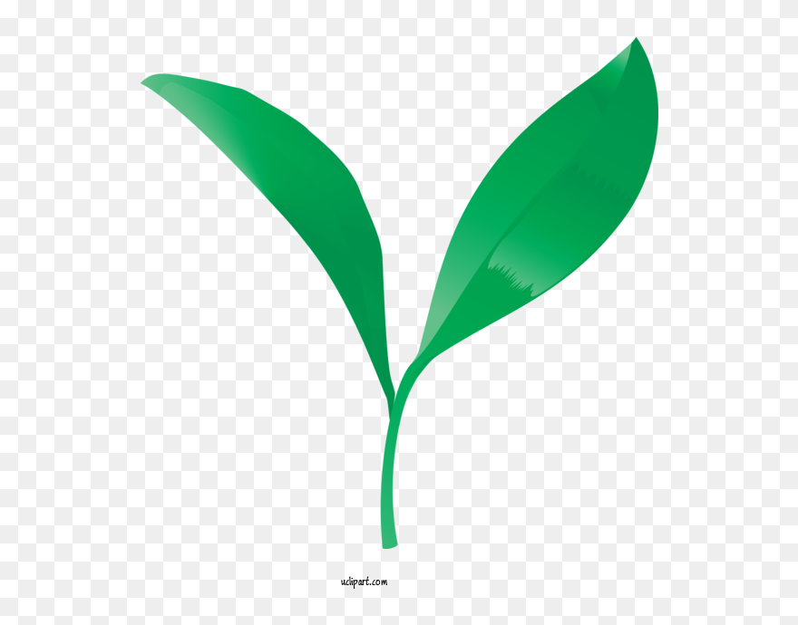 Transparent Nature Leaf Green Plant For Leaf For Nature Clipart