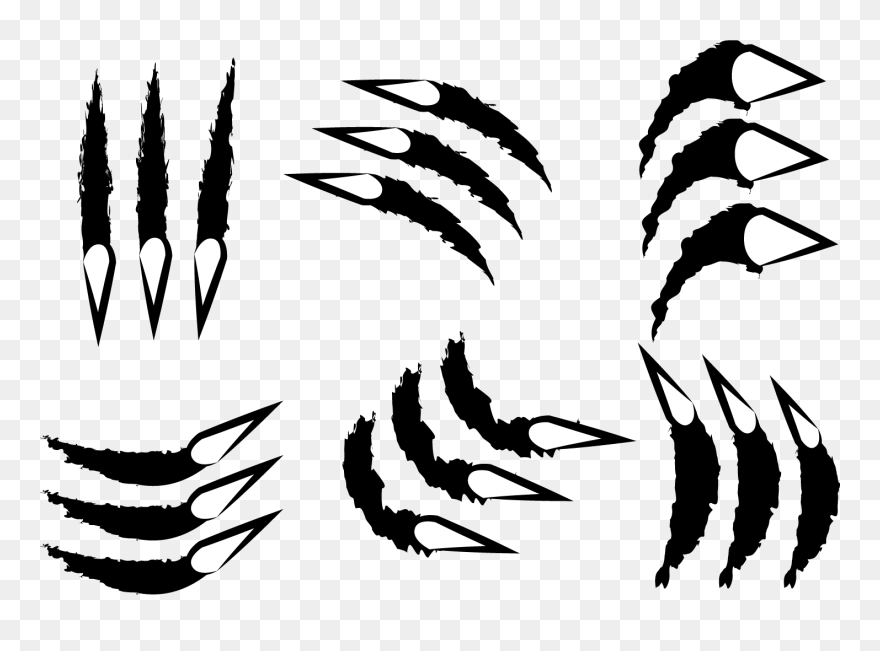 Claws Ripping Vector - Lion Paw Vector Clipart