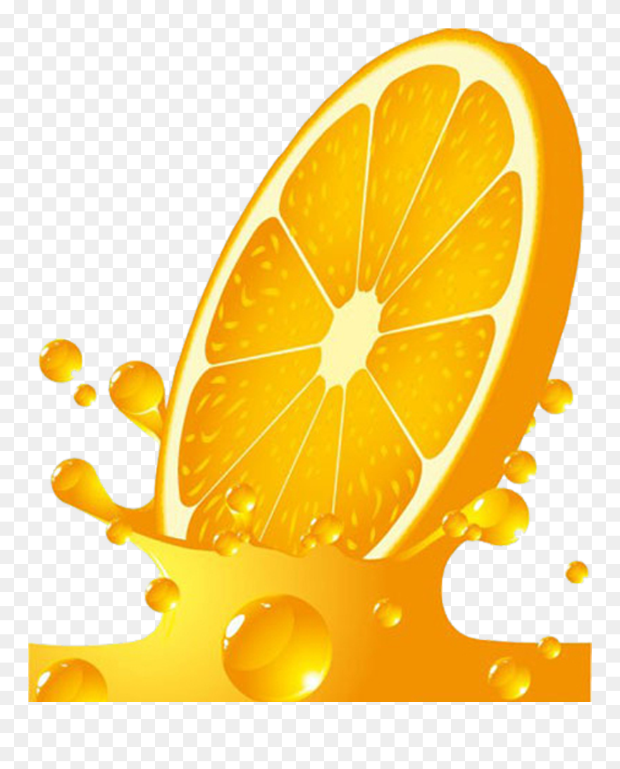 Oranges Clipart Hamster - Orange Vector - Png Download