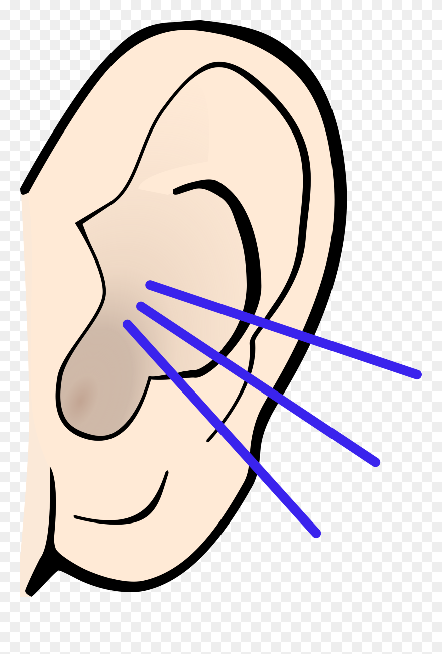 Hear Clipart Png, Hear Png Transparent Free For Download - Ear Clip Art