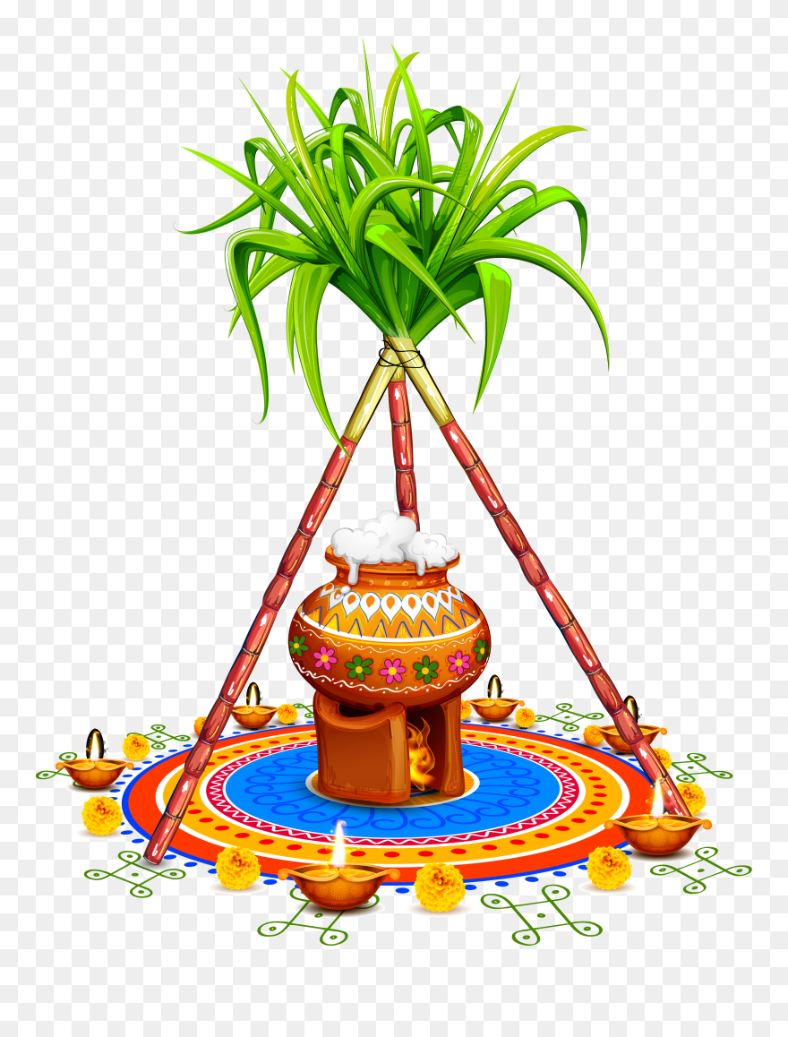 Sugarcane Clip Art Yellow - Happy Pongal Images Download - Png Download