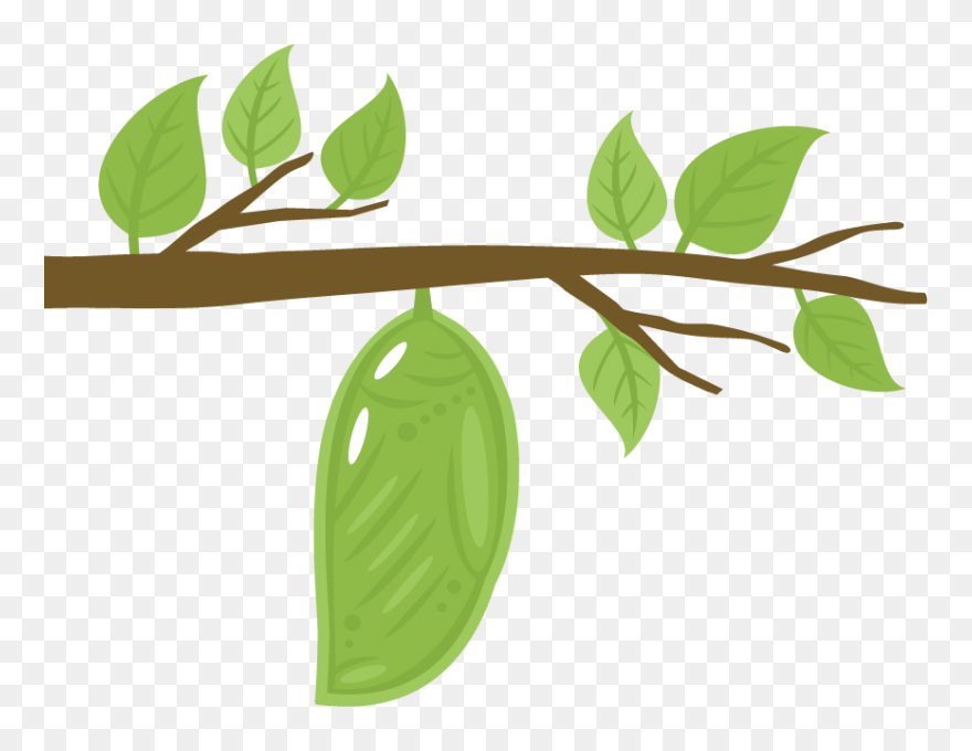 Hungry Caterpillar Apple Clipart Graphic Library Download - Chrysalis Clipart - Png Download