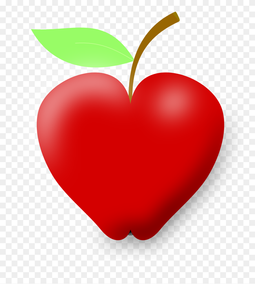 Health Beauty Tips Clipart