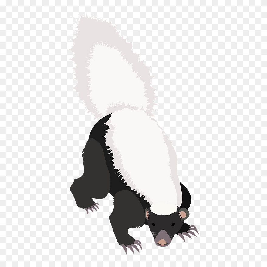 American Hog-nosed Skunk Clipart - Illustration - Png Download
