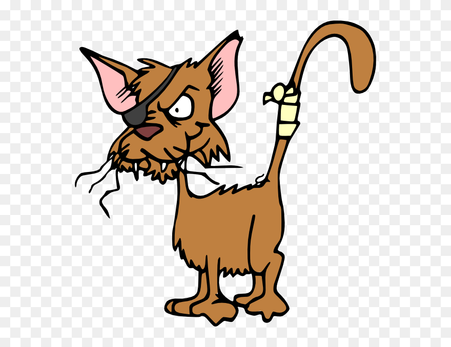 Crazy Cat Cartoon Clipart