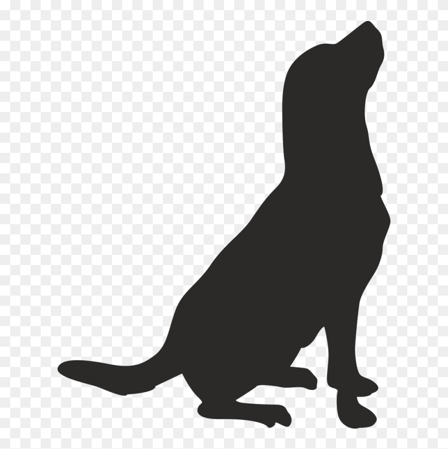 Whiskers American Pit Bull Terrier Drawing Clip Art - Cão De Caça Png Transparent Png