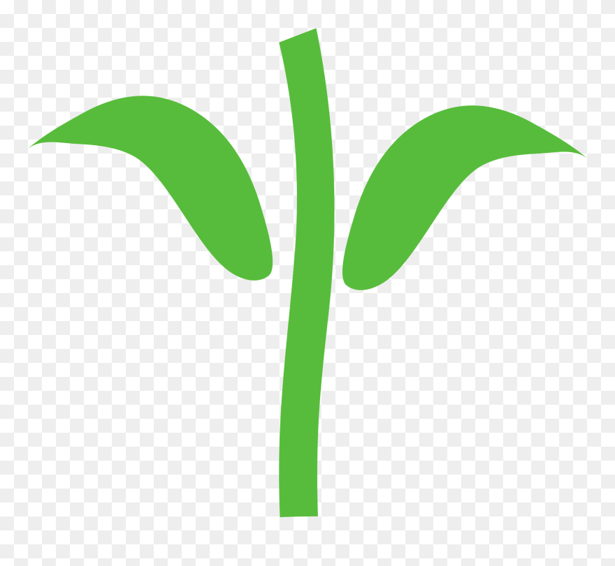 Stalk Clipart Stem - Png Download