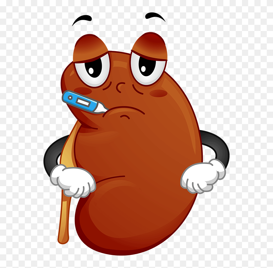 Cemc - Kidney Disease Clipart - Png Download