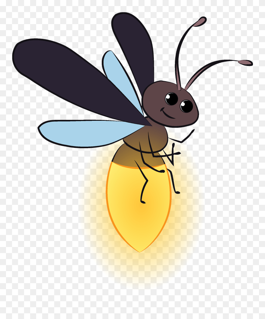 Firefly Clipart - Net-winged Insects - Png Download