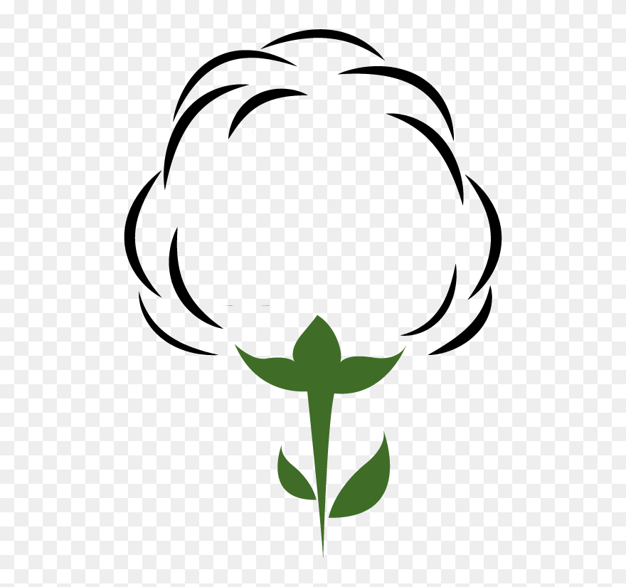 Cotton Clipart Cotton Plant, Cotton Cotton Plant Transparent - Cotton Clipart Transparent - Png Download