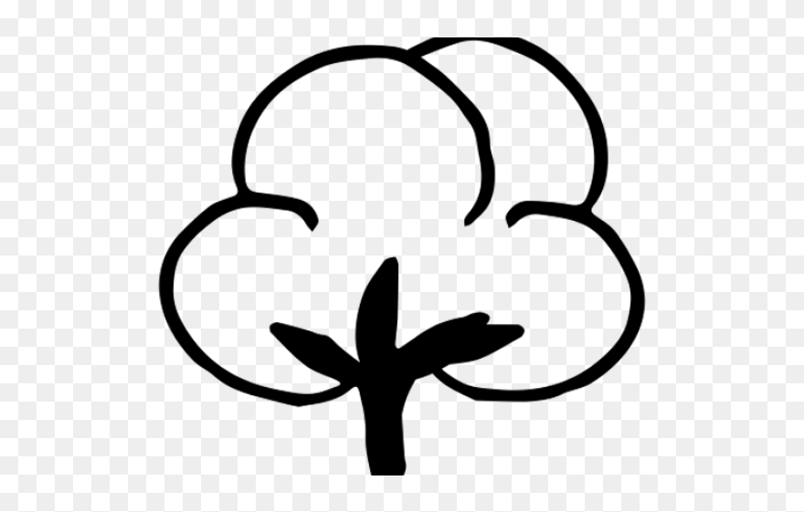 Cotton Clipart Black And White - Png Download