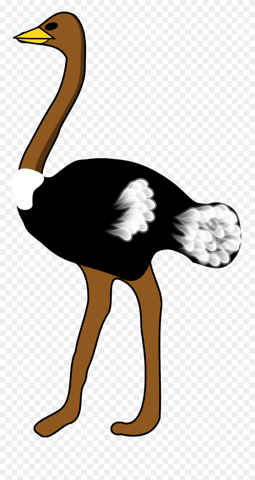 Transparent Background Ostrich Clipart - Ostrich Clipart Black And White - Png Download