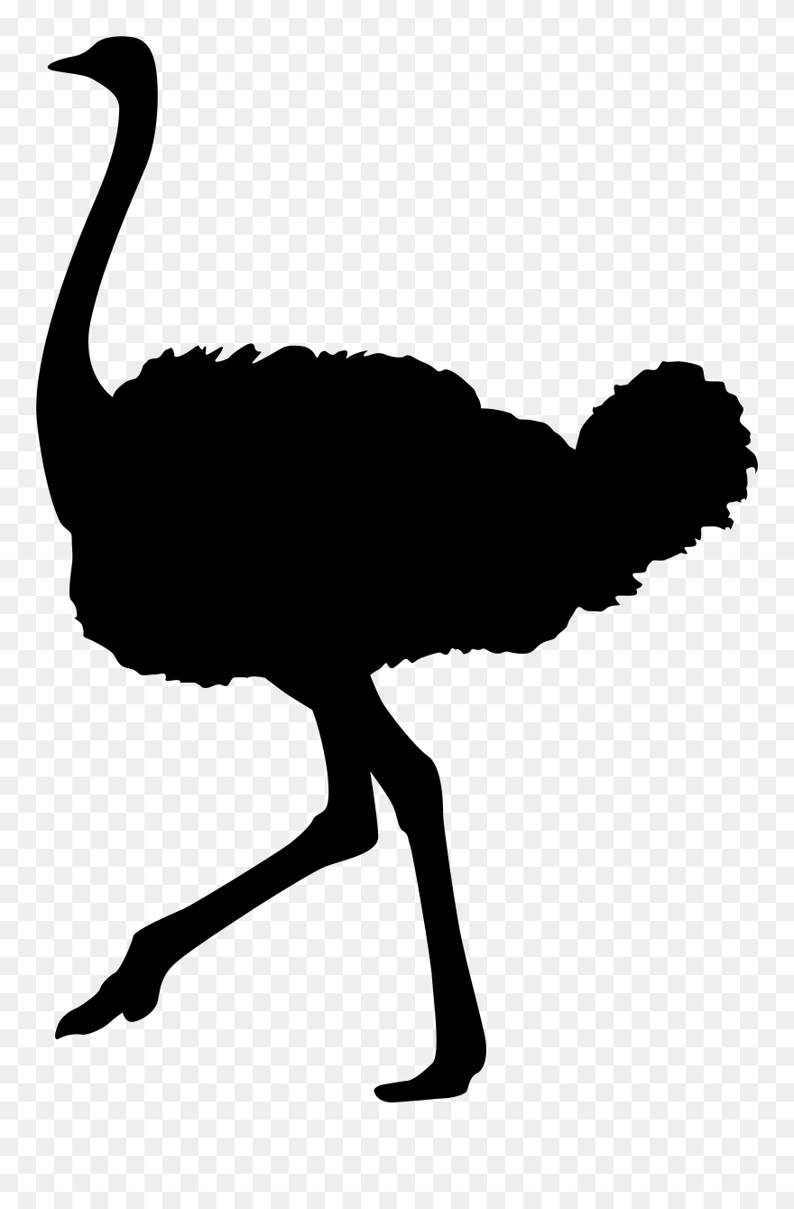 Ostrich Clipart Svg - Letterkenny Svg - Png Download