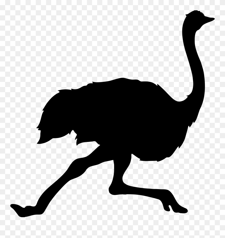 Ostrich Clipart Silhouette - Ostrich Silhouette Png Transparent Png
