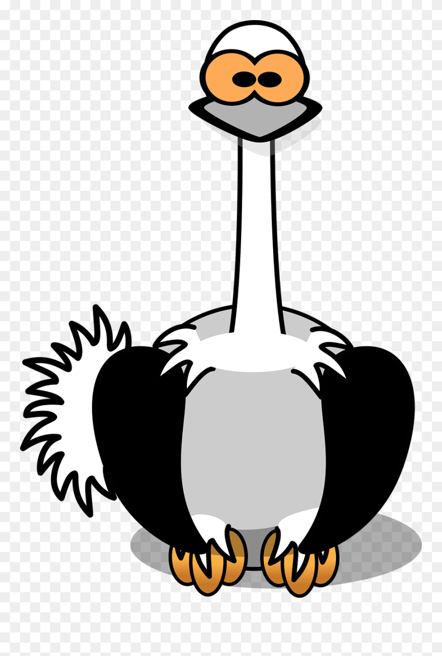 Common Ostrich Drawing Computer Icons Cartoon Download - Cartoon Ostrich Png Clipart Png Transparent Png
