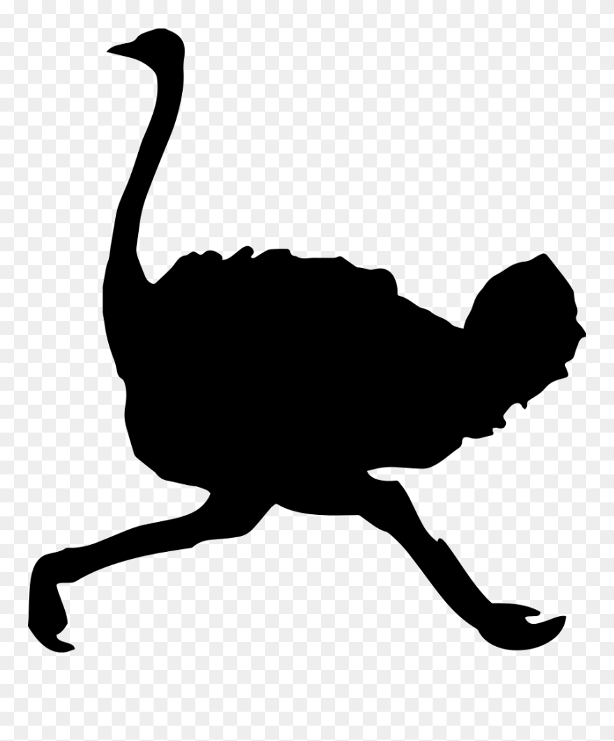 Common Ostrich Bird Clip Art Vector Graphics Silhouette - Ostrich Silhouette Png Transparent Png