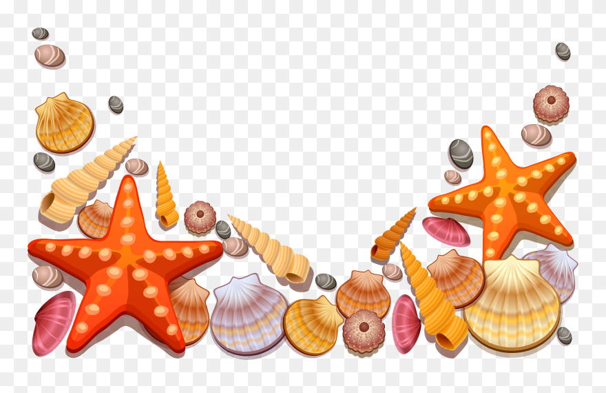 Image Royalty Free Library Colorful Seashell Clipart - Sea Shells Clipart Png Transparent Png