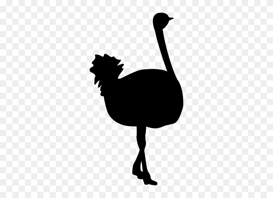 Ostrich Clipart