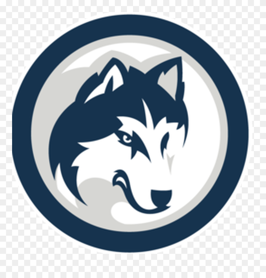 Husky Clipart Peculiar - Connecticut Huskies - Png Download