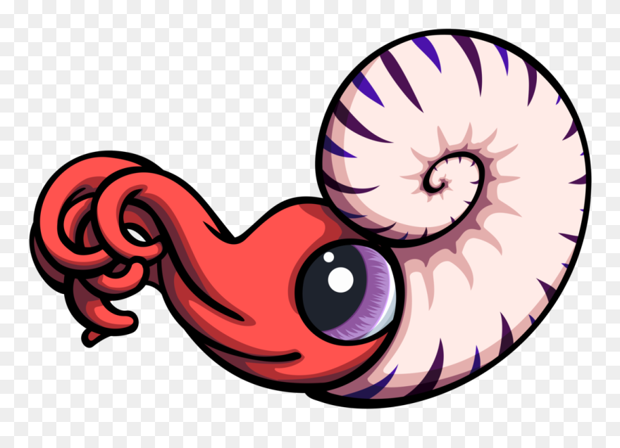Ammonite Clipart - Png Download