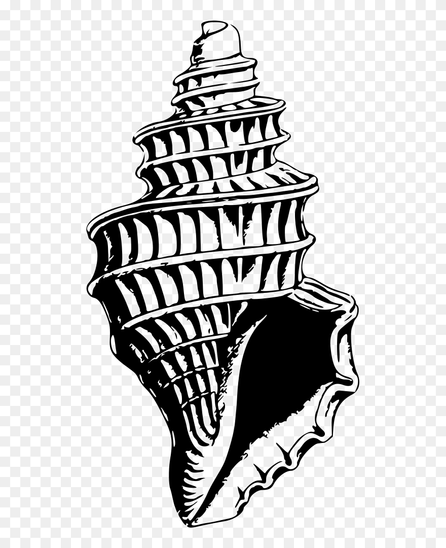 Clip Art - Png Download