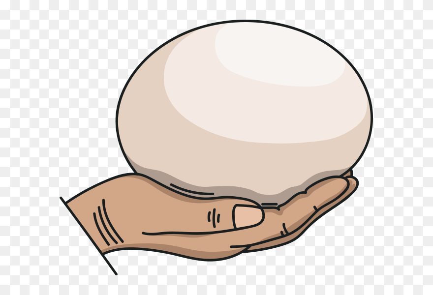 Cartoon Ostrich Egg Clipart