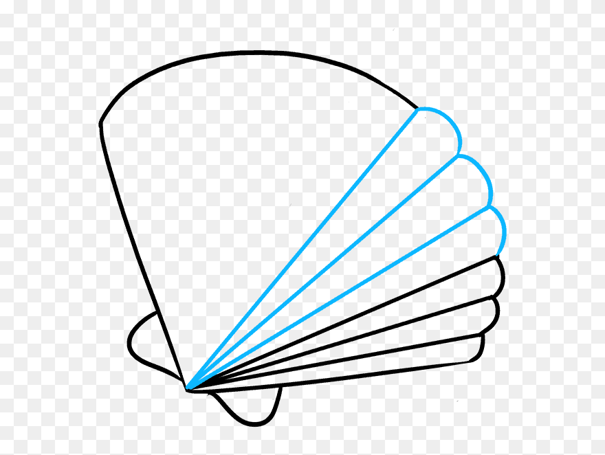 How To Draw Seashell - Easy Drawings Of Seashells Clipart
