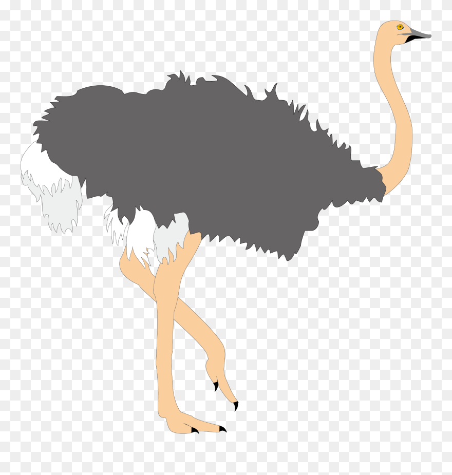 Common Clip Art Ugly - 鴕鳥 卡通 - Png Download