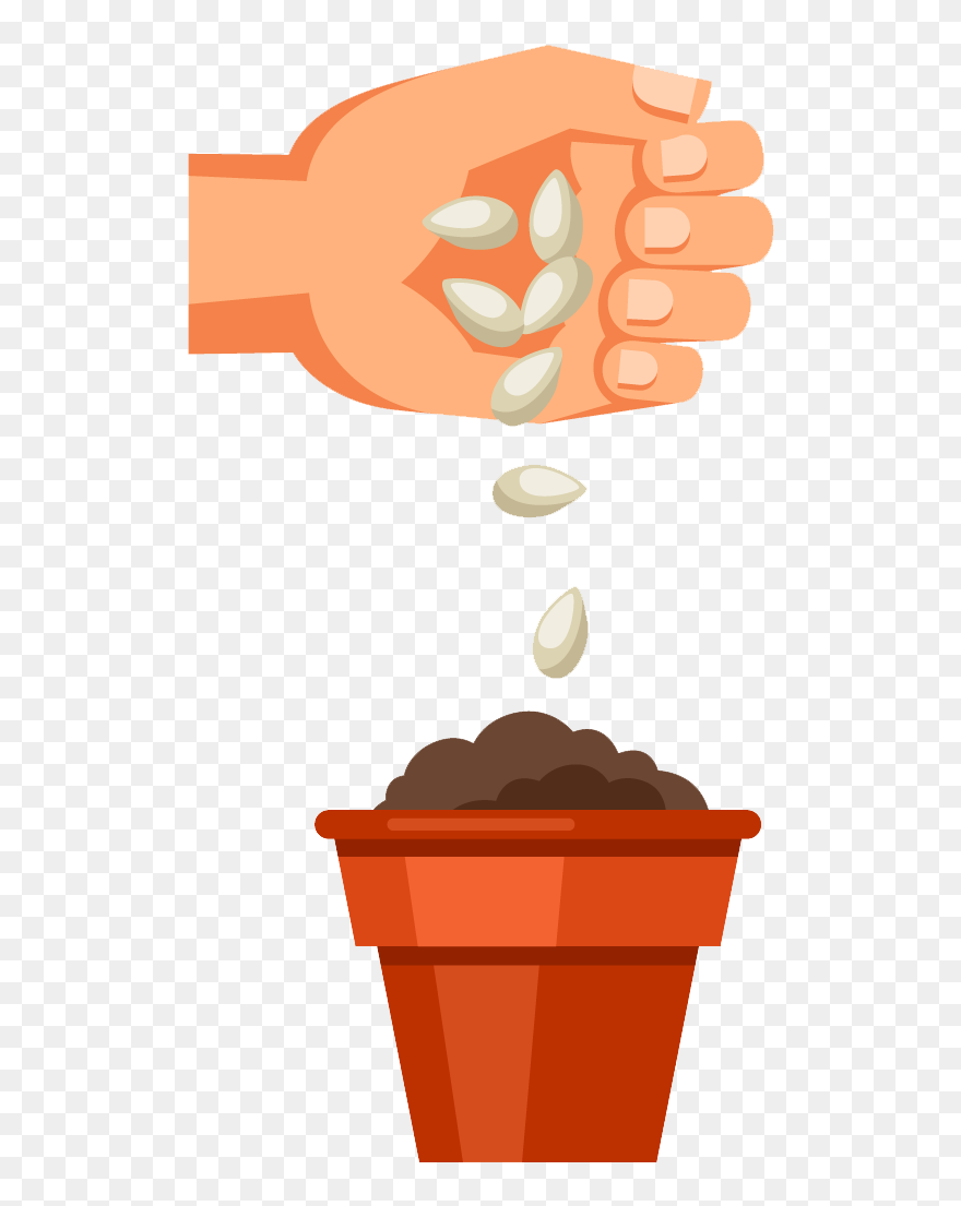 Seeds Clipart - Png Download