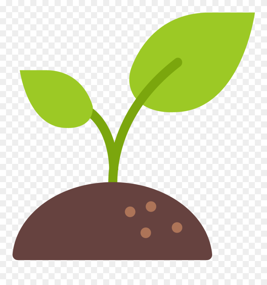 Seeding Flower Icon Clipart